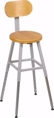 Picture of LAB STOOL BACK (Gray) (1/carton)