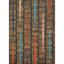 Picture of Recoil - Multi Color - 7'8" x 10'9"