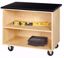 Picture of MOBILE DEMONSTRATION CABINET